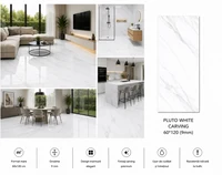 Gresie PLUTO WHITE Carving  60*120 ( 9mm)