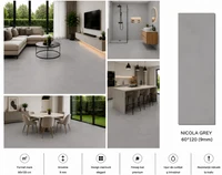 Gresie NICOLA GREY 60*120 ( 9mm)