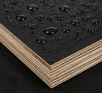 Placaj laminat 1220*x2440mm*18mm 3