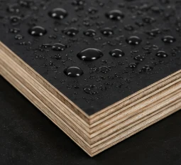 Placaj laminat 1220*x2440mm*18mm