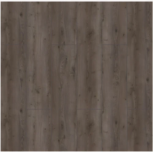 Laminat KASTAMONIU 10*159*1205 COASTAL FN034 5100351 (10mm*8pcs*1.533m2)